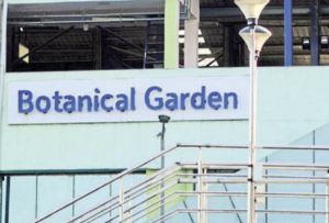 Botanical Garden Metro Station in Noida: Make Your Travel Easy Via Train