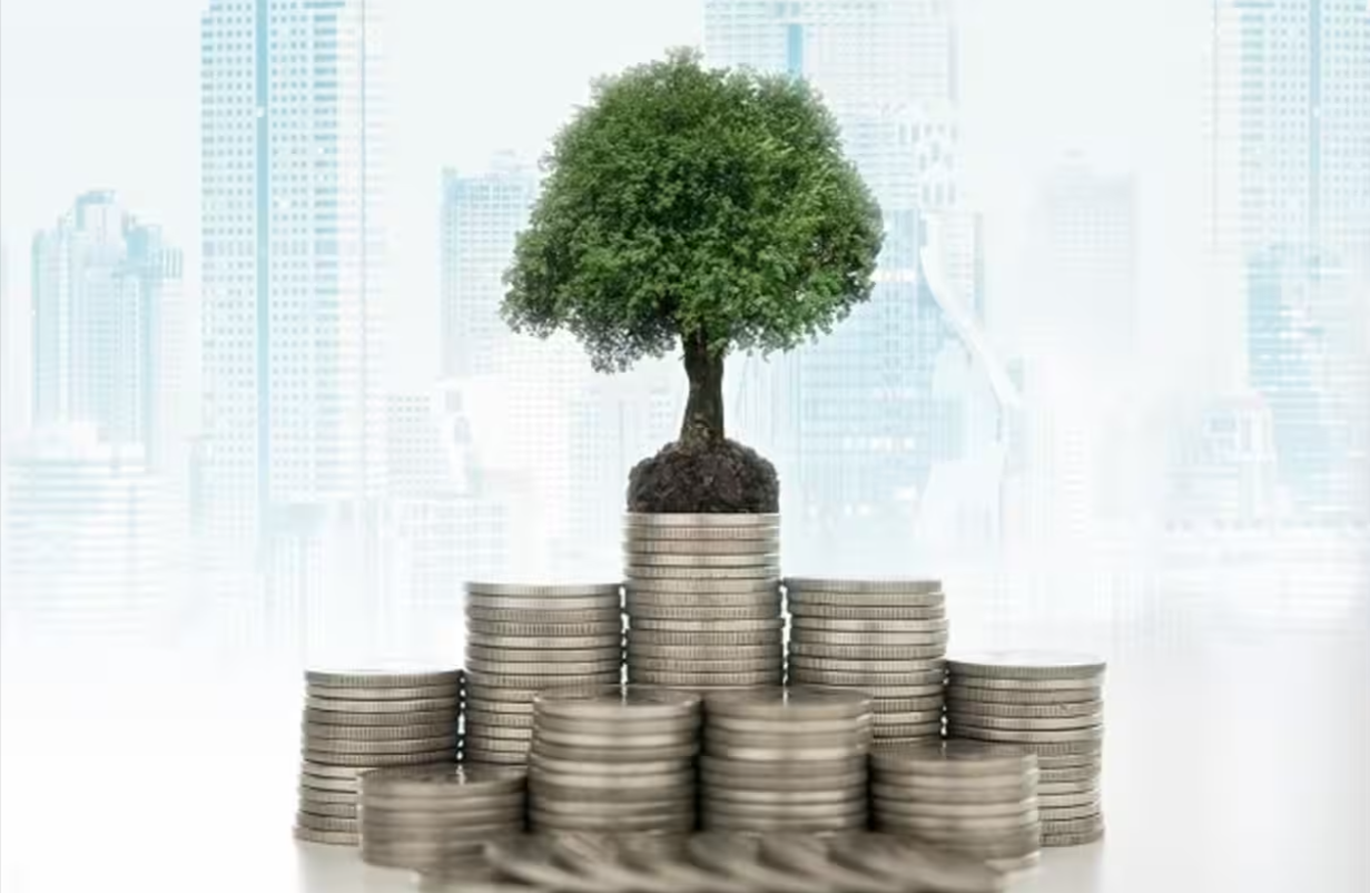 earn money from mutual funds